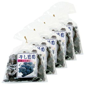 ナガトク 干し葡萄 大粒レーズン 370g×5個セット 送料無料