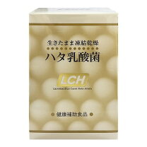 楽天市場】11 1 乳酸菌 東京 大学の通販