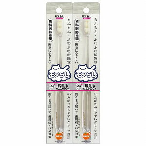 IWPA t炵 RpNg (1{)×2Zbg [֑