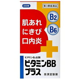 【第3類医薬品】ビタミンBBプラス 250錠 送料無料