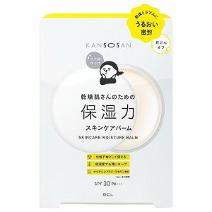  ێ̓XLPAo[ 17g