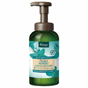 NiCv A{fBEHbV s[Xt[g ANAn[o̍ 450g