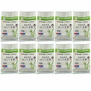 FGAPF Y͂ƔeB[obO 120g(4g×30P)