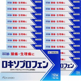 【第1類医薬品】 ロキソプロフェン錠 「クニヒロ」 12錠×20個セット ※セルフメディケーション税制対象商品 送料無料/ロキソプロフェン クニヒロ ロキソプロフェン 60mg
