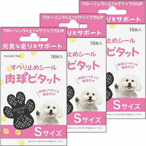 ׂ~߃V[ s^bg STCY 16 [֑