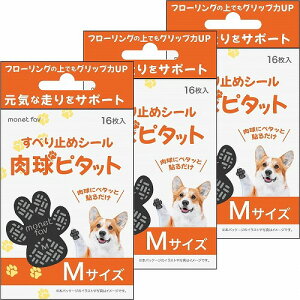 ׂ~߃V[ s^bg MTCY 16 [֑