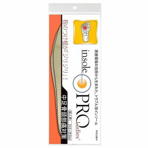 �C���\�[���v�� �����������ɑ΍� ���f�B�[�X L�T�C�Y 1���� ���[���֑�������