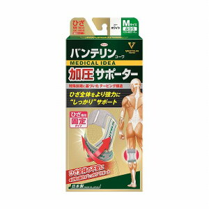 oeR[ T|[^[ Ђp Œ^Cv zCg ӂ MTCY [֑