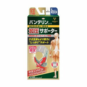 oeR[ T|[^[ Ђp Œ^Cv zCg 傫 LTCY [֑