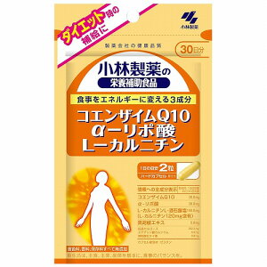 ѐ RGUCQ10E-|_EL-Jj` 60i30j [֑