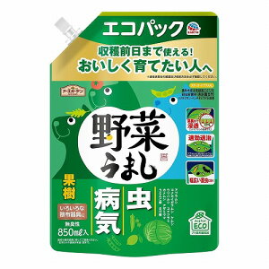 A[XK[f ؂܂ GRpbN 850mL