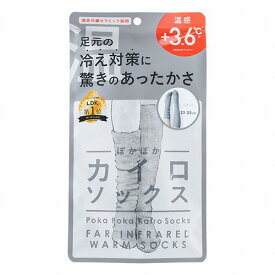 ぽかぽかカイロソックス 06 グレー