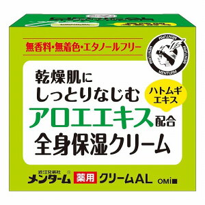 ߍ]ZЃ^[ pAGN[ 145g 򕔊Oi