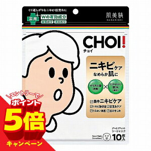 �y�G���g���[��P5�{�z������ CHOI�}�X�N ��p�j�L�r�P�A 10����