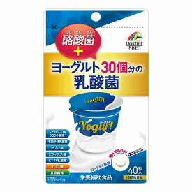 ヨーグルト30個分の乳酸菌＋酪酸菌 40粒 メール便送料無料
