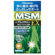 Hisamitsu MSM EX 280粒 賞味期限2027年4月