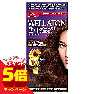 �y�G���g���[��P5�{�z�E�G���g�[�� �c�[�v���X����(2+1) �N���[�� 6G