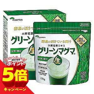 �y�G���g���[��P5�{�z�O���[���}�O�} �� 170g ��������