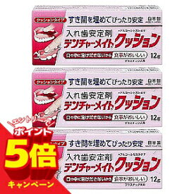 【エントリーでP5倍】デンチャーメイトクッション 12g×3個セット メール便送料無料