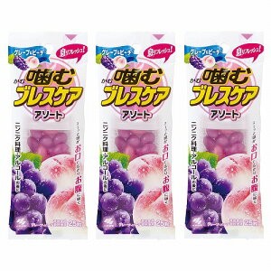 ރuXPA A\[g^Cv 25(O[vs[`) [֑