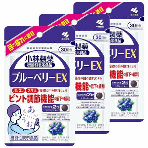 ѐ u[x[EX 60 (30) [֑