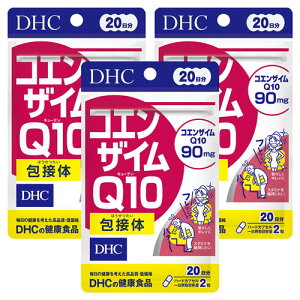 DHC 20 RGUCQ10iL[ejڑ 40 [֑