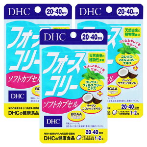 DHC tH[XR[\tgJvZ 20(40) [֑