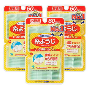 小林製薬 糸ようじ 60本入 メール便送料無料