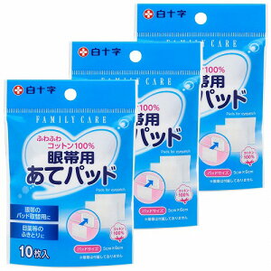 t@~[PA їpăpbh 10 [֑