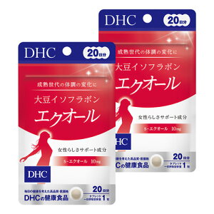 DHC 哤C\t{GNI[ 20 20×2Zbg [֑