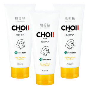  CHOI ptFCXEHbV EьPA 110g 򕔊Oi [֑