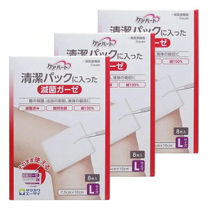 PAn[g pbNɓŋۃK[[L 8