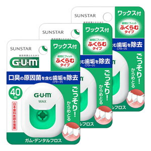 TX^[ K f^tXbNX 40m [֑