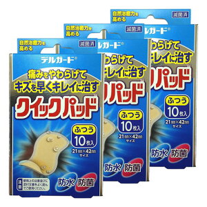 デルガードクイックパッド ふつうサイズ 10枚 メール便送料無料