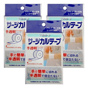 fK[h T[WJe[v ^Cv 12mm×9M [֑