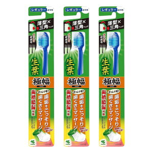 ѐ ti傤悤jɕuV M[ ӂ(1{) [֑