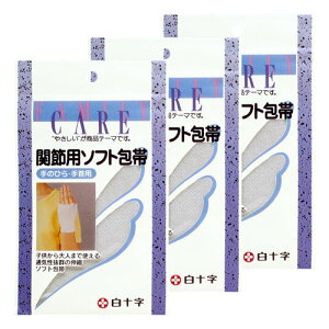 \ t@~[PA(FC) ֐ߗp\tgz[^C ̂ЂEp (1) [֑