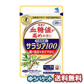 小林製薬 サラシア100 60錠(約20日分) メール便送料無料