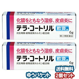 【第（2）類医薬品】 テラ・コートリル軟膏a 6g×2個セット メール便送料無料