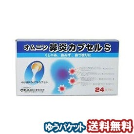 【第（2）類医薬品】 オムニン鼻炎カプセルS 24カプセル メール便送料無料 ※セルフメディケーション税制対象商品