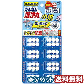 小林製薬 かんたん洗浄丸 小粒タイプ（6粒×8袋） メール便送料無料