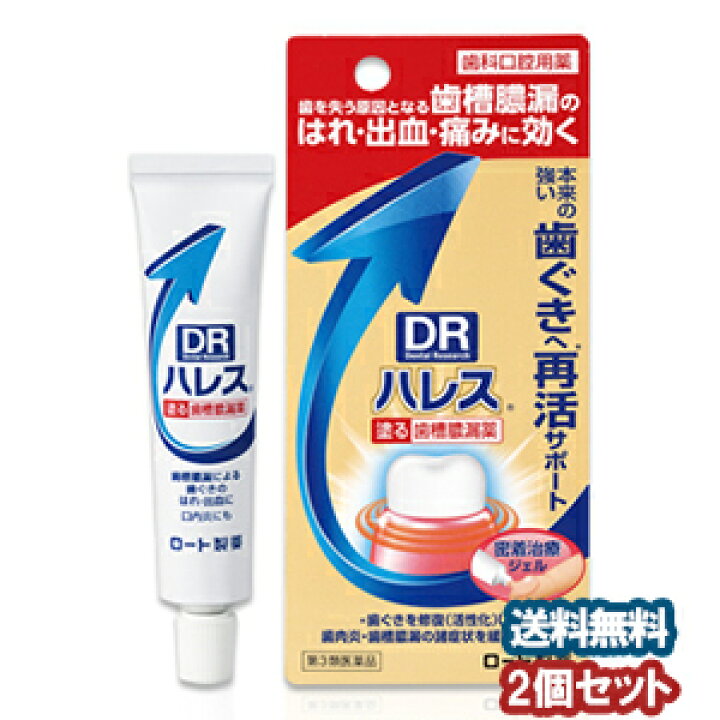 1791円 正規店 5個セット ハレス 口内薬 15G あすつく 送料無料 1791円 正規店 5個セット ハレス 口内薬 15G あすつく 送料無料