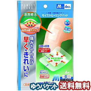 \ t@~[PA CXgq[Opbh MTCY 4 [֑