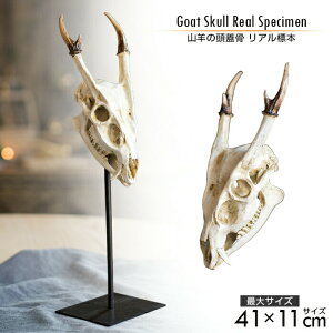 yz Rr̓W AW{ TCY k ΍p fbT CeA fbTl` IuWF X eX  JtF kG fbTZbg pi w Z