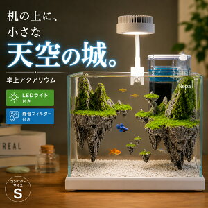 ���i�摜