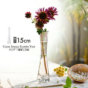 [50%OFFN[|ΏF]yz 15cm NA֑}ԕr Vv k K[fjO C_XgA t[|bg KXԕr ԕr NAԕr ֑}KX  
