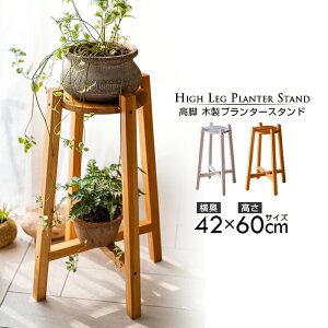 yz 60cm r ؐt[X^h Vv k K[fjO C_XgA ԑ t[ Ԓd VRؐ O pC C VRjX i` zCg K[