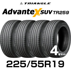 225/55r19 サマータイヤの人気商品・通販・価格比較 - 価格.com