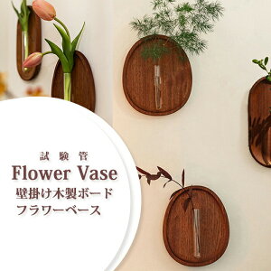 [50%OFFN[|ΏF]yz ǕǊ|ؐ{[ht[x[X ֑} ؐ AWA t[x[X ԕr Ԋ k K[fjO C_XgA t[|bg Ae