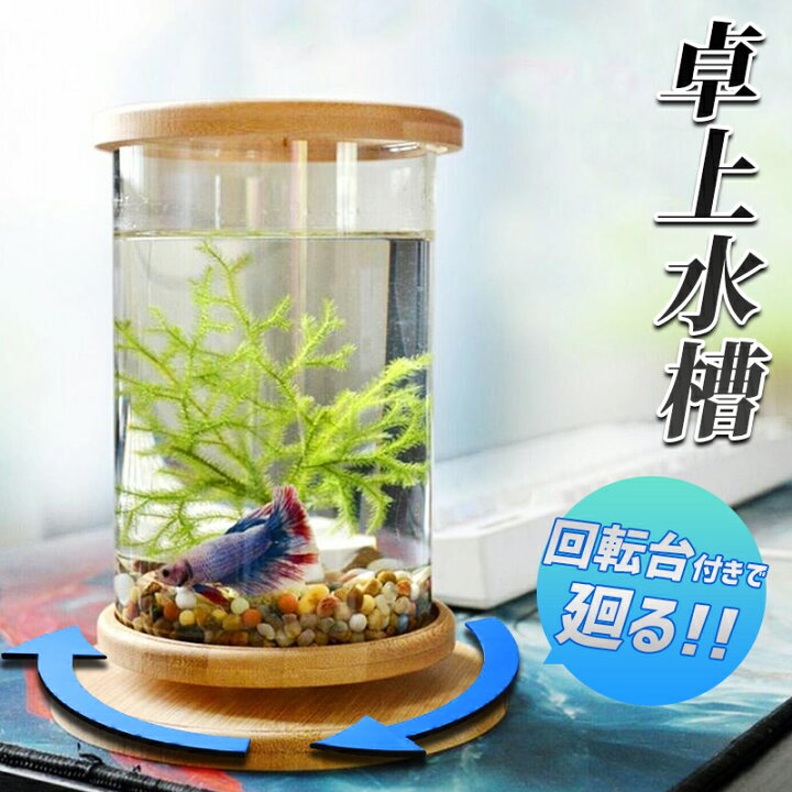 楽天市場 送料無料 水槽 アクアリウム金魚鉢 卓上 Aquarium すいそう おしゃれ かわいい ベタ水槽 水槽台 回転 回る水槽 オブジェ ガラス 円柱 丸形 金魚 メダカ エビ シュリンプ 熱帯魚 中身は付いてきません 別途お買い求めください Benmastore